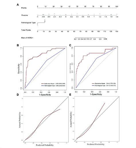 Nomogram Developed With Roc And Calibration Curves A A Radiomics Download Scientific Diagram