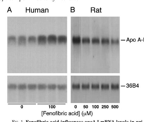 Figure 1 From The Nuclear Receptors Peroxisome Proliferator Activated