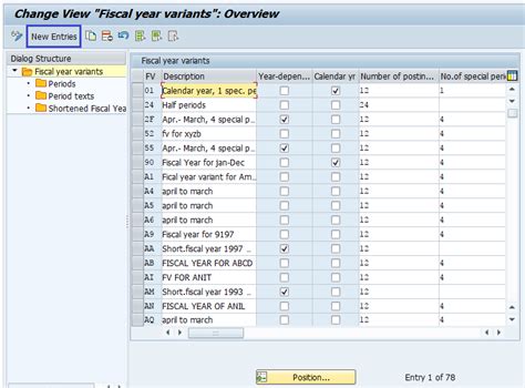 SAP FI Fiscal Year Variant