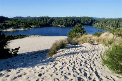 Visiting The Coastal Sand Dunes In Oregon Erikas Travels