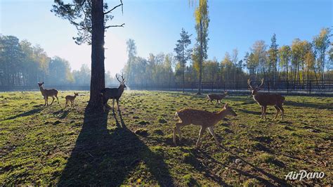 Национальный парк Лосиный остров, Москва