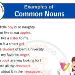 40 Examples Of Concrete Nouns In Sentences Concrete Nouns Sentence