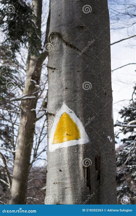 Winter Landscape between Azuga and Valea Grecului. Stock Image - Image of beautiful, hiking ...