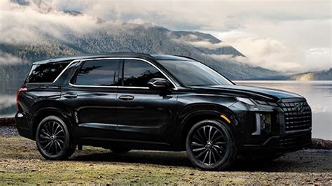 Hình ảnh Hyundai Palisade Calligraphy Night Edition