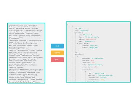 JavaScript JSON Formatter With Tree View CodeHim