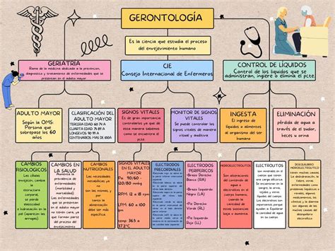 Mapa Conceptual Gerontología Danixa Canales uDocz