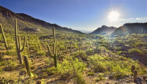 Tucson Mountain Park Sunrise Gates Pass Tucson Arizona Wh Flickr