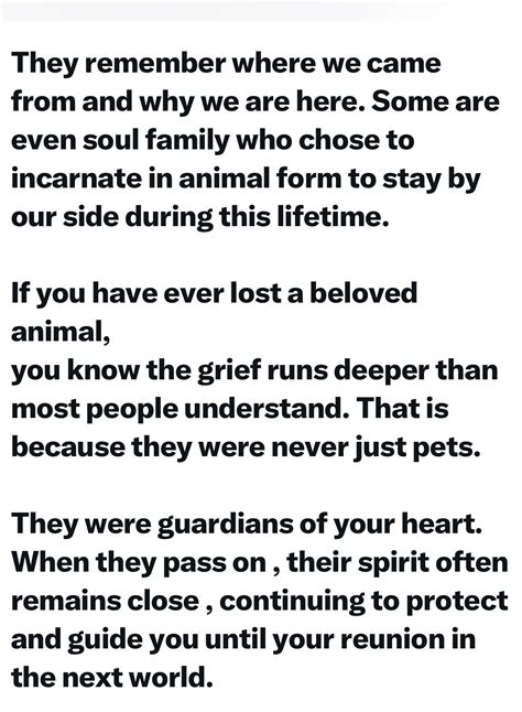 Obtaining cams certification is harder than most people expect 14