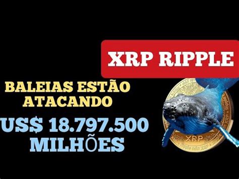 XRP RIPPLE AS BALEIAS CHEGARAM E AGORA Xrp Ripple YouTube