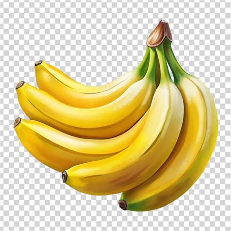 Premium Psd Banana Bunch Isolated On Transparent Background