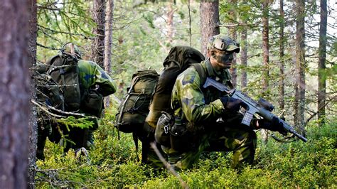 military, Soldier, Forest, Swedish Army Wallpapers HD / Desktop and ...