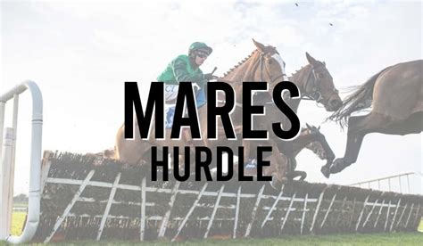 Champion Hurdle Tips Odds Stats News And Trends