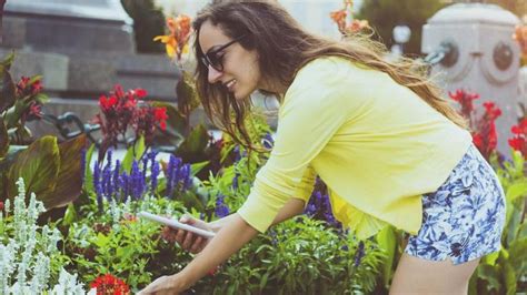 4 applications pour reconnaître les plantes Femmes d Aujourd hui