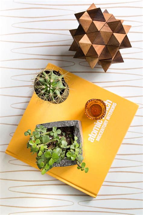 Two Succulents Are Sitting On Top Of A Yellow Book