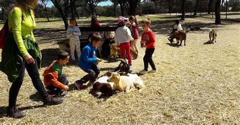 EL BLOG DEL INFANTA ELENA GRANJA INFANTIL