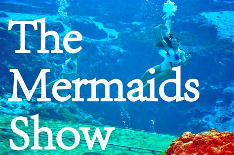 The Mermaids Of Weeki Wachee Springs State Park State Parks Mermaid