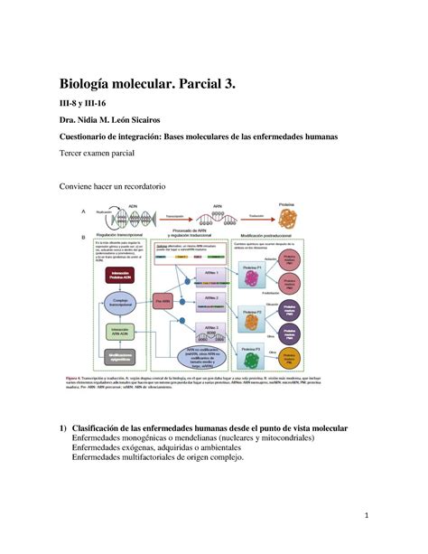 Biolog A Molecular Cuestionario Biolog A Molecular Parcial Iii