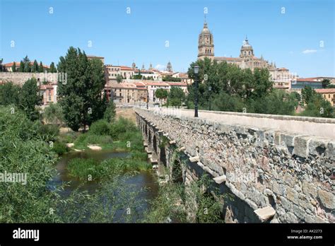 Puente Romano Puente Romano Sobre El R O Tormes Detr S De La