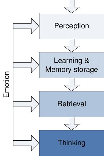 A Simplified Representation Of The Stages Of Cognitive Processing