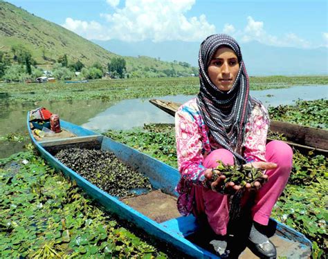 Jammu And Kashmir Situation Remains Normal On First Death Anniversary Of Syed Ali Shah Geelani