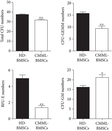 Analysis Of Hematopoietic Colony Forming Units On Methylcellulose After