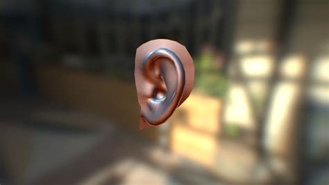 ear reference     model  rtodd efa sketchfab