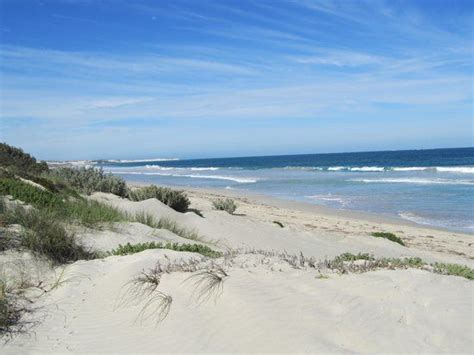 Tarcoola beach | Beach, Geraldton, Outdoor