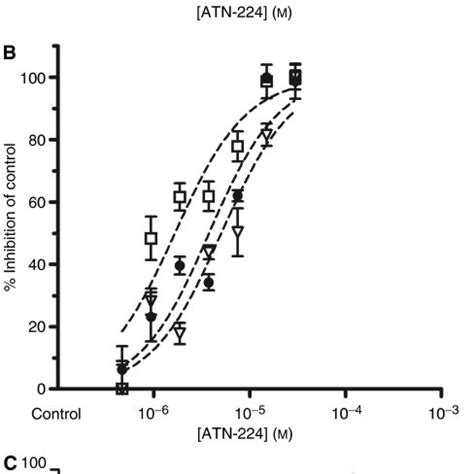 Atn Inhibits Sod Activity In Blood Cells Anticoagulated Blood From