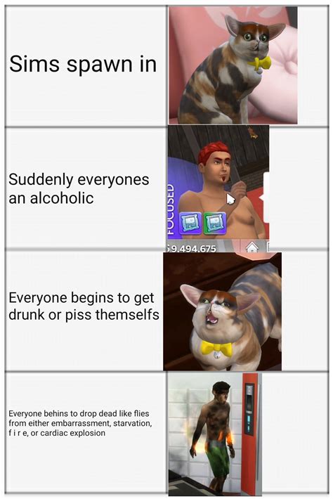 Just the average Graystillplays Sims 4 episode. : r/dankmemes