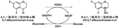 一种R 5 7 二氟苯并二氢吡喃 4 醇的制备方法与流程