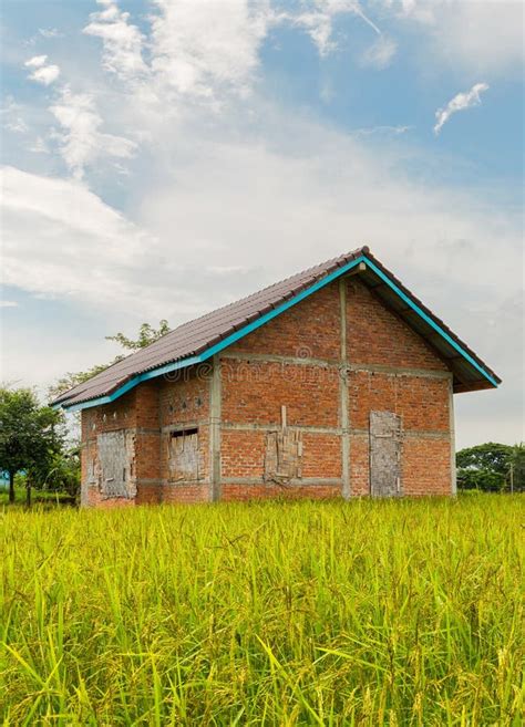 Abandoned Houses Rice Paddy Stock Photos Free And Royalty Free Stock