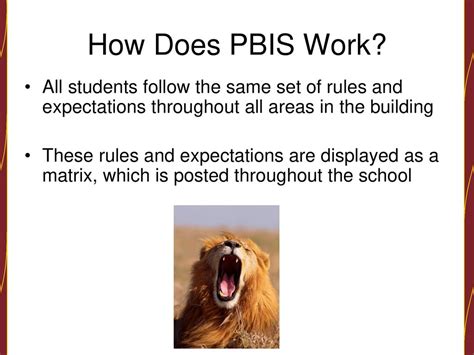 Pbis Responsibility Opportunity Accountability And Respect Ppt