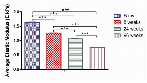 Average Elastic Modulus From 7 Days Of Culture In Acellular Constructs Download Scientific