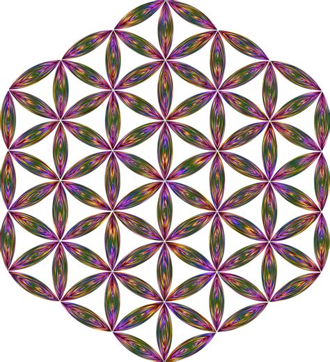 Download Flower Of Life Sacred Geometry Geometric Royalty Free Vector Graphic Pixabay