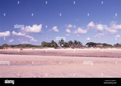 beach  mozambique coast stock photo alamy