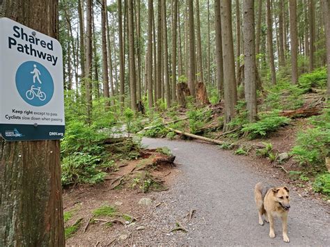 Off Leash Trails And Hikes Archives The Dog Network