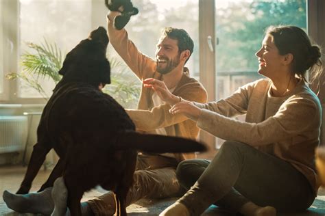 Your options if your interest-only mortgage ends soon