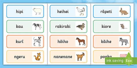 Te Reo Māori Animal Word Cards professor feito Twinkl