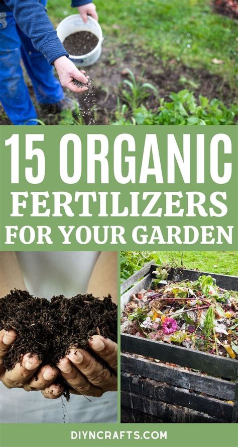 15 DIY Organic Fertilizer Recipes for Your Garden