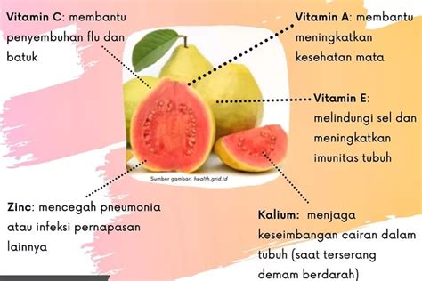 Sumber Antioksidan Tinggi Pada Buah Jambu Yang Penting Untuk Menjaga