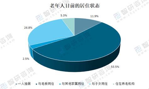 2020年中国老龄人口数量、老年人居住现状及未来老年人居住环境发展策略分析 图 智研咨询