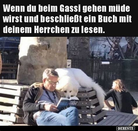 Wenn Du Beim Gassi Gehen M De Wirst Und Beschlie T Ein Buch Lustige