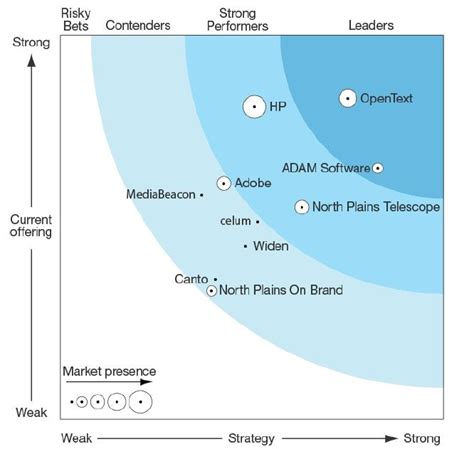 Digital Asset Management Opentext