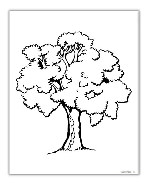 Trees Coloring Pages For Adults