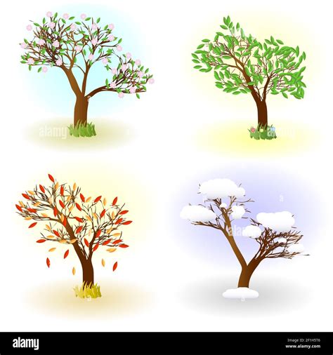 Four Seasons Cartoon Illustration Hi Res Stock Photography And Images