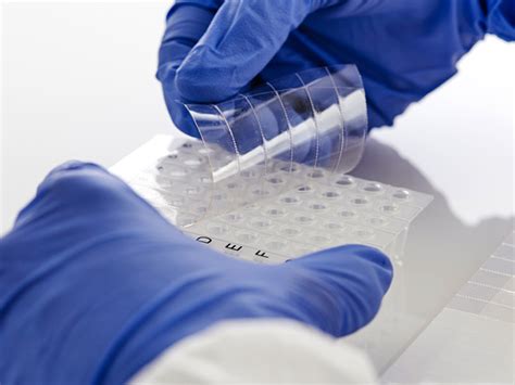 Sealing Film For PCR QPCR Optical Applications Azenta Life Sciences