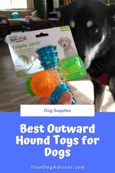 The Best Outward Hound Toys for Dogs | Your Dog Advisor