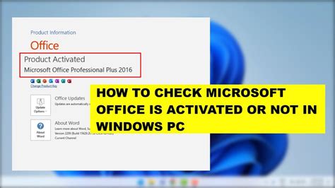 How To Check Your Microsoft Office Is Activated Or Not In Windows 11 Youtube