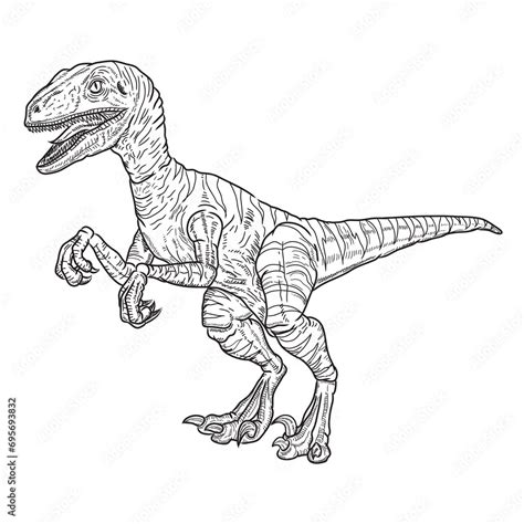 vector drawing velociraptor dinosaur, black lines Stock Vector | Adobe ...