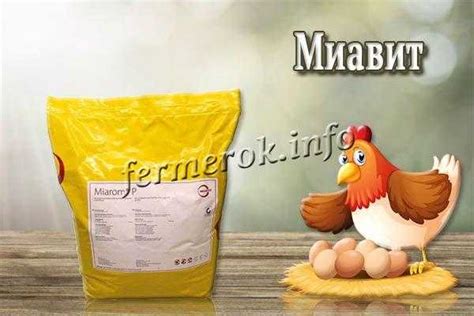 Кормовые добавки для кур